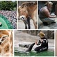 Kolem světa za 1 den v Zoo Praha