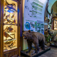 Vlastivědné muzeum a galerie v České Lípě nabízí široké spektrum poznání
