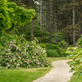 Dendrologická zahrada Průhonice, to je oáza klidu, arboretum a botanická zahrada
