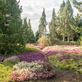Návštěva Dendrologické zahrady v Průhonicích je více než procházkou