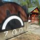 Děčínská zoo má našlápnuto k návštěvnickému rekordu!