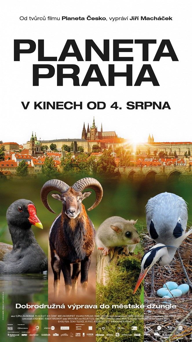 Planeta Praha  - Svitavy -Svitavy