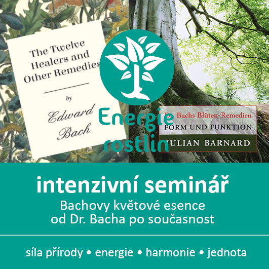 Bachovy esence - dvoudenní intenzivní seminář -  Praha -