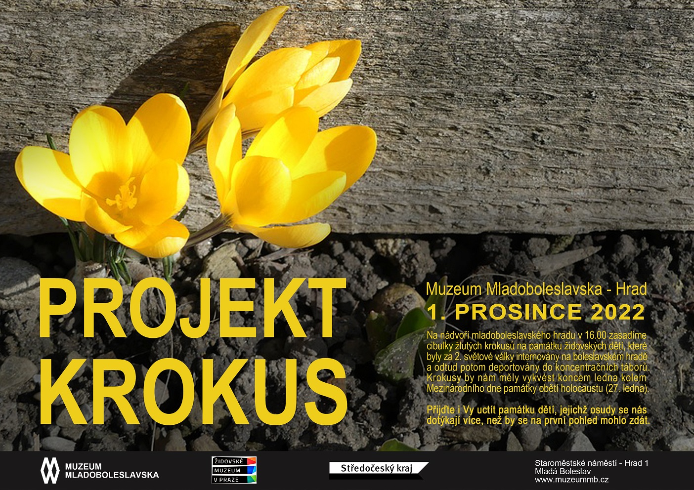Projekt Krokus v Muzeu Mladoboleslavska - Mladá Boleslav -Mladá Boleslav