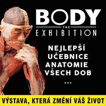 Výstava Body The Exhibition odhaluje největší tajemstvi fungování lidského těla