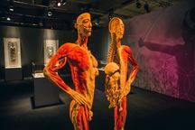 Výstava Body The Exhibition pro velký zájem prodloužena