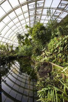 Džungle, která nespí - Večerní provázení Botanickou zahradou