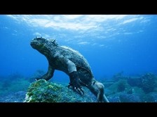Galapágy 3D: Zázraky přírody 3D