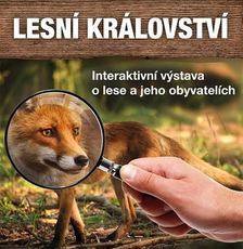 Lesní pedagogika s Lesy ČR