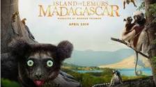 Madagaskar: Království lemurů 3D 3D