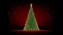 Rozsvícení vánočního stromu 2017 - Litoměřice