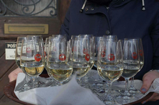 Oslava svatomartinských vín a husí - Hustopeče