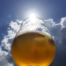 Pivní degustace – Letní pivo