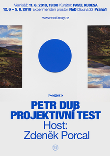 Petr Dub - Projektivní test