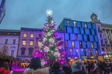 Rozsvícení vánočního stromu v Brně