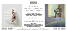 výstava Johana Střížková / Antonín Střížek - Hladce
