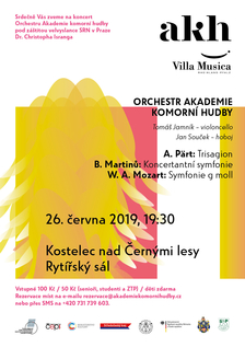 Orchestr Akademie komorní hudby v Kostelci n. Černými lesy