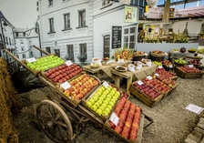 Flora Olomouc zve na podzimní „Zahradní slavnost“