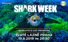 Shark Week ve Žlutých lázních