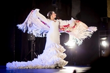Mezinárodním online festival Flamenco De Sofa