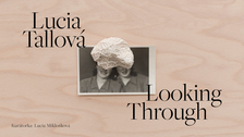 Lucie Tallová / Looking Through / Pragovka Gallery Entry