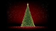 Rozsvícení vánočního stromu 2020 - Havířov