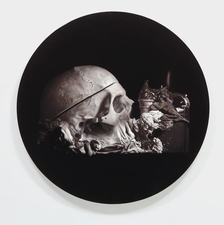 Vanitas. Smrt a umírání jako jeden z významných námětů současného výtvarného umění v Centru současného umění DOX