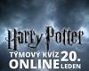 HARRY POTTER: ONLINE MAD HEAD SHOW