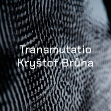 Kryštof Brůha - Transmutatio - Pragovka Gallery POP-UP