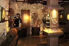 Ryby a rybářství - Prácheňské muzeum v Písku