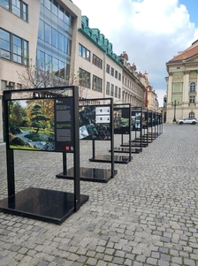 Putovním výstava Kořeny osobností na Ovocném trhu v Praze
