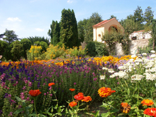 Slavnost růží a Víkend otevřených zahrad na zámku Veltrusy