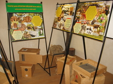 Včelařská výstava v Kaplance Protivín