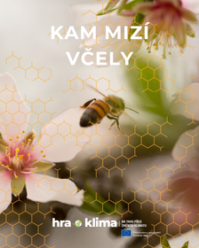 O včelách a včelaření bude letošní 7. ročník festivalu Země na talíři v Olomouci
