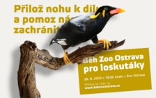 Běh Zoo Ostrava pro loskutáky