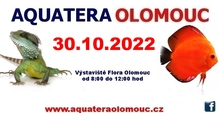 Aquatera Olomouc 2022