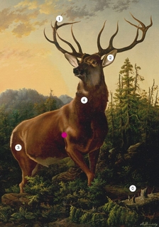Potkat jelena - Motiv jelena a laně v moderním a současném umění