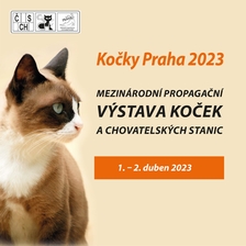 Kočky Praha 2023 - TOP HOTEL Praha