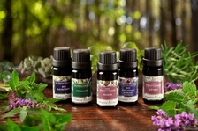 Praktická aromaterapie pro každého
