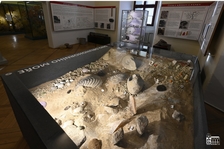 Geologie a mineralogie - Vlastivědné muzeum a galerie v České Lípě