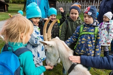 Edukační program Za zvířátky na dědinu - Valašská dědina