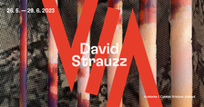 VIA / David Strauzz - výstava v Pragovce