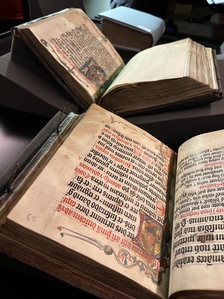 Výstava gotických rukopisů Eliška Rejčka: Dar středověku - Špilberk
