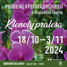 Klenoty pralesa 2024 na Výstavišti Flora Olomouc
