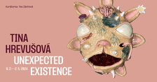 Tina Hrevušová - Unexpected Existence