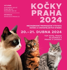Mezinárodní propagační výstava Kočky Praha 2024