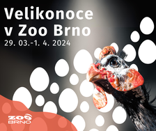 Velikonoce v Zoo Brno 2024
