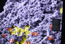 Mikrobiom a solidní nádory - Ústřední knihovna
