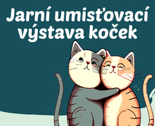 Jarní umisťovací výstava koček - KC Průhon