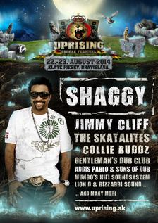 Uprising reggae festival 2014